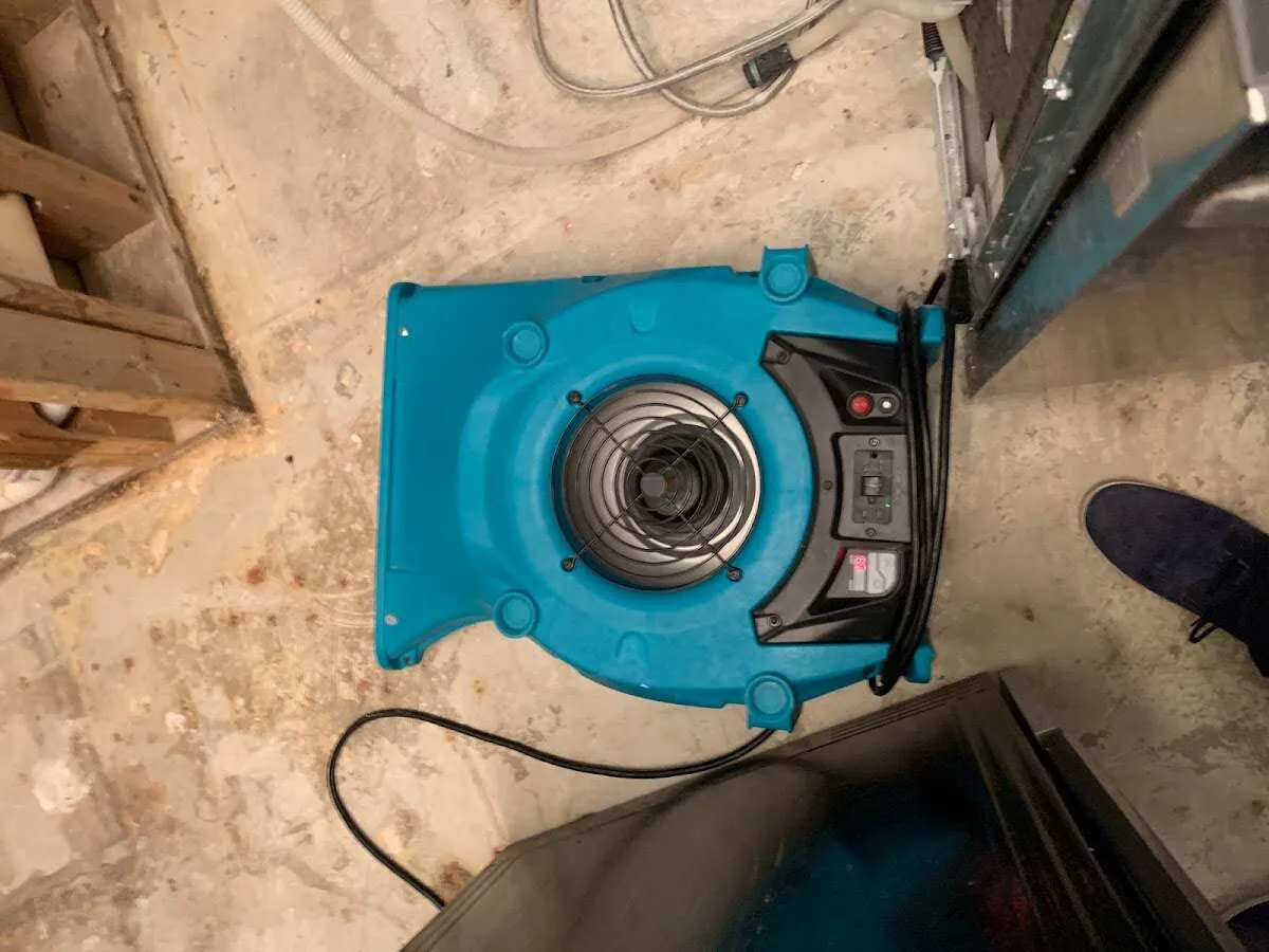 Air mover drying equipment for Mold Remediation & Removal in Rockland